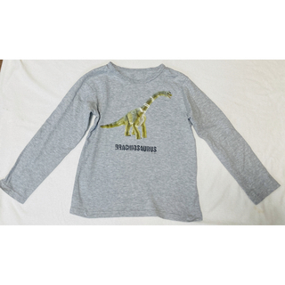シュライヒ(Schleich)のベルメゾン　シュライヒ リアル恐竜プリント長袖Tシャツ120ブラキオサウルスわ(Tシャツ/カットソー)