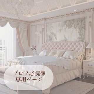 プロフ必読様 専用ページ(デコパーツ)