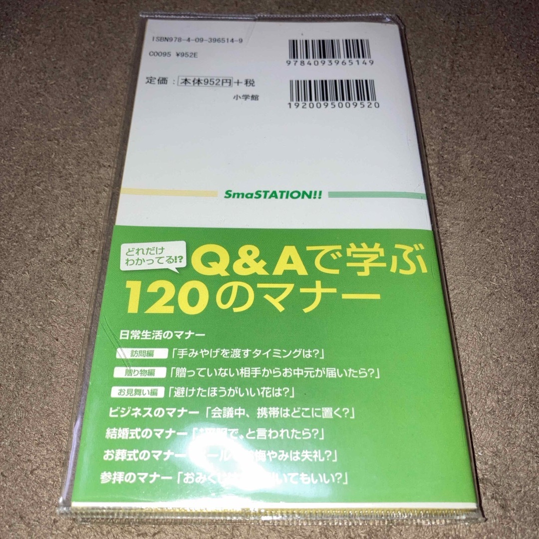 マナスマブック エンタメ/ホビーの本(住まい/暮らし/子育て)の商品写真