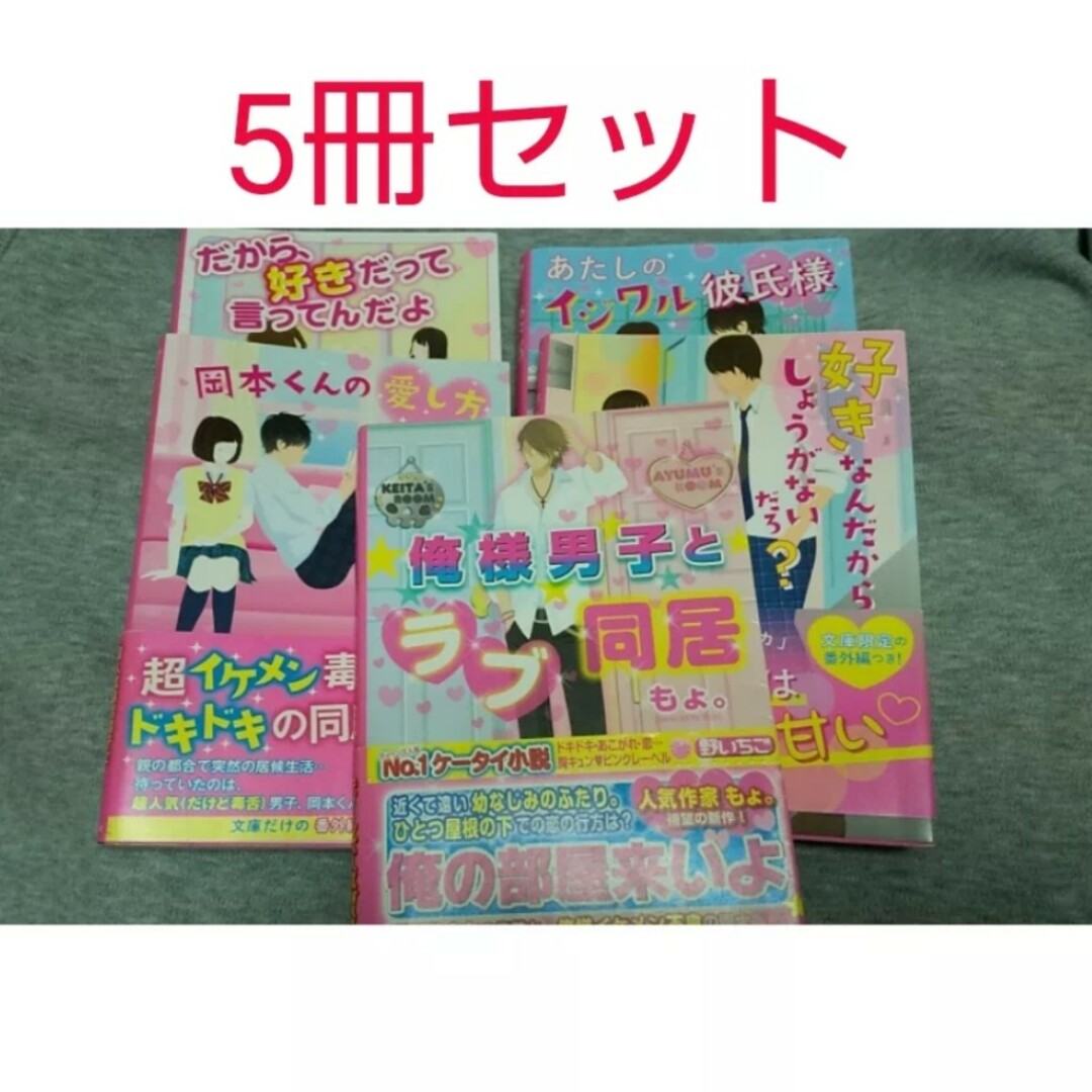 ケータイ小説 少女漫画風 小説5冊セット エンタメ/ホビーの本(文学/小説)の商品写真