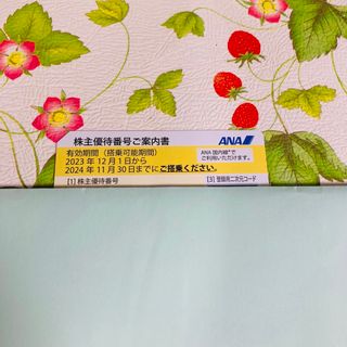 エーエヌエー(ゼンニッポンクウユ)(ANA(全日本空輸))の【送料込】ANA 株主優待 最新版 11月まで(航空券)