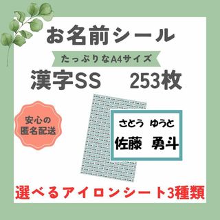 お名前シール　選べるシート3種類　漢字SS　253枚　アイロン不要　アイロン接着(ネームタグ)