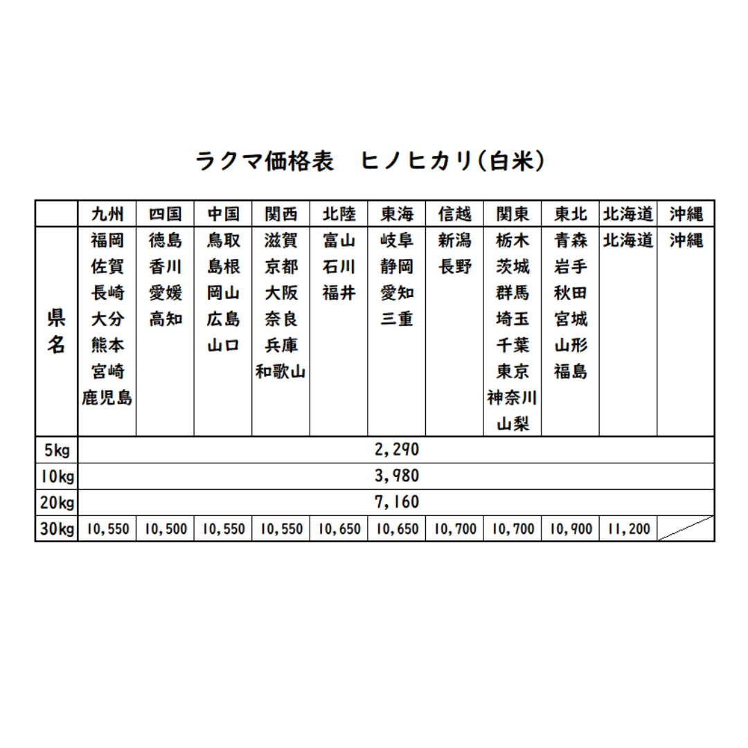 お米　令和5年　愛媛県産ヒノヒカリ　白米　10㎏ 食品/飲料/酒の食品(米/穀物)の商品写真