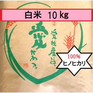 お米　令和5年　愛媛県産ヒノヒカリ　白米　10㎏(米/穀物)