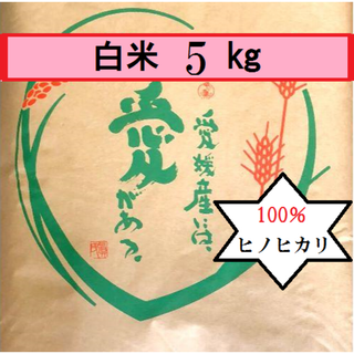 お米　令和5年　愛媛県産ヒノヒカリ　白米　5㎏(米/穀物)