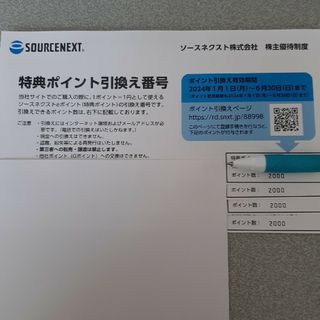 ソースネクスト 株主優待　8,000円分(ショッピング)