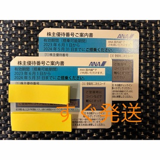 ANA 株主優待券　4枚＋優待券付き　2024/5/31まで(その他)