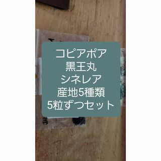 コピアポア　シネレア 黒王丸　5産地 各５粒ずつセット(その他)