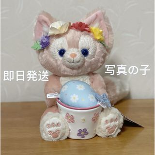 Disney - 【最終値下げ】カム・ファインド・スプリング リーナベル　ぬいぐるみSSサイズ