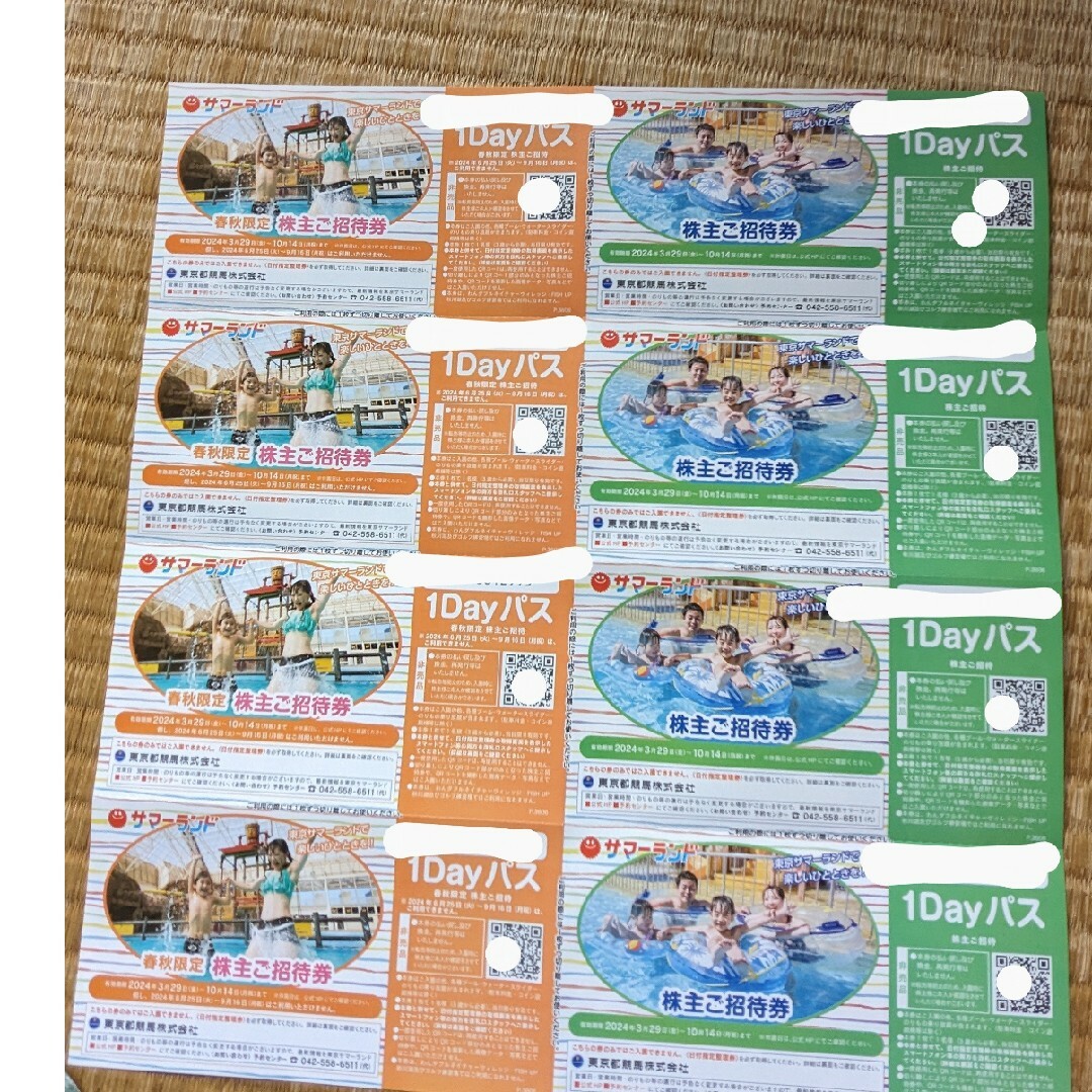 東京都競馬株主優待　サマーランド1Dayパス　8枚 チケットの施設利用券(プール)の商品写真