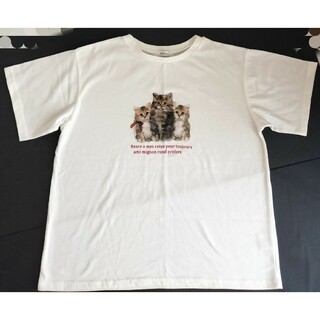 イング(INGNI)のINGNI  Tシャツ  猫  ホワイト系  Mサイズ(Tシャツ(半袖/袖なし))