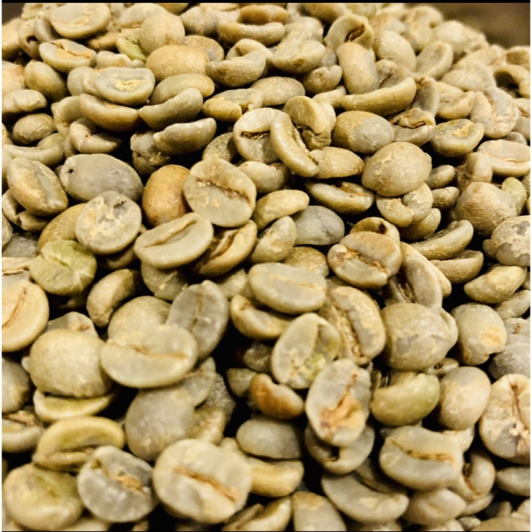 生豆 ブラジル クィーンショコラ Qグレード 800g コーヒー豆 珈琲豆 食品/飲料/酒の飲料(コーヒー)の商品写真