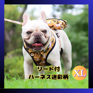 大型犬用【お散歩セット】ハーネス迷彩柄パステルイエローXLサイズ(犬)