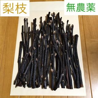 梨枝 200g 果樹枝 かじり木 素材 農薬不使用 チンチラ ハムスター リス(小動物)