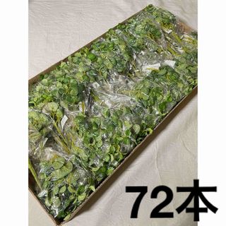 【造花】72個まとめ売りミニハートリーフブッシュ 【フェイクグリーン】(その他)