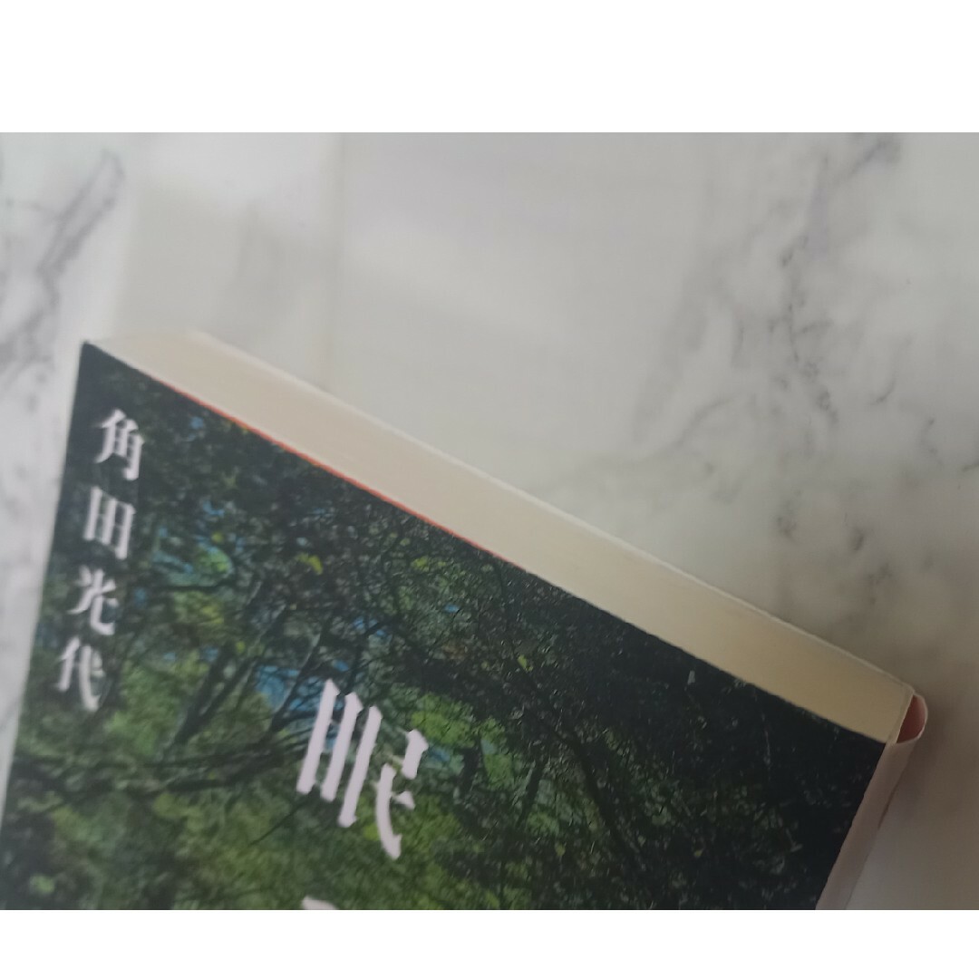 森に眠る魚 エンタメ/ホビーの本(その他)の商品写真
