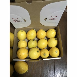 完熟レモン　農薬不使用　樹上完熟(フルーツ)