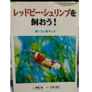 レッドビー・シュリンプを飼おう!(アクアリウム)