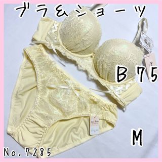 ブラジャーショーツセットＢ75    No.7285(ブラ&ショーツセット)