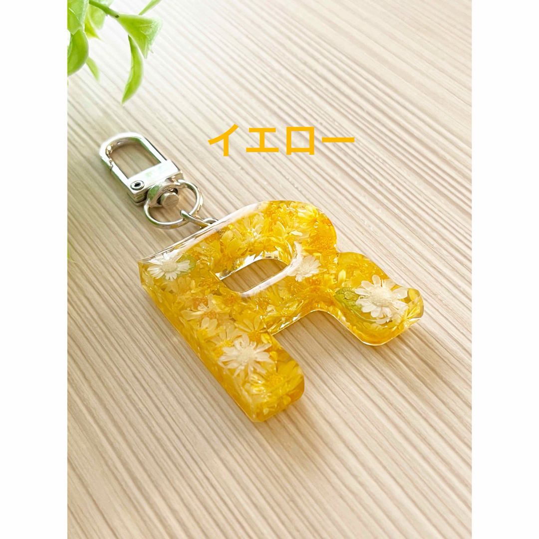 イニシャルバックチャーム【オーダー専用ページ】キーホルダー ハンドメイドのアクセサリー(チャーム)の商品写真