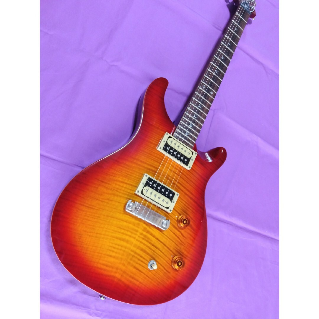 PRS(ピーアールエス)のポールリードスミス SE CUSTOM 22 楽器のギター(エレキギター)の商品写真