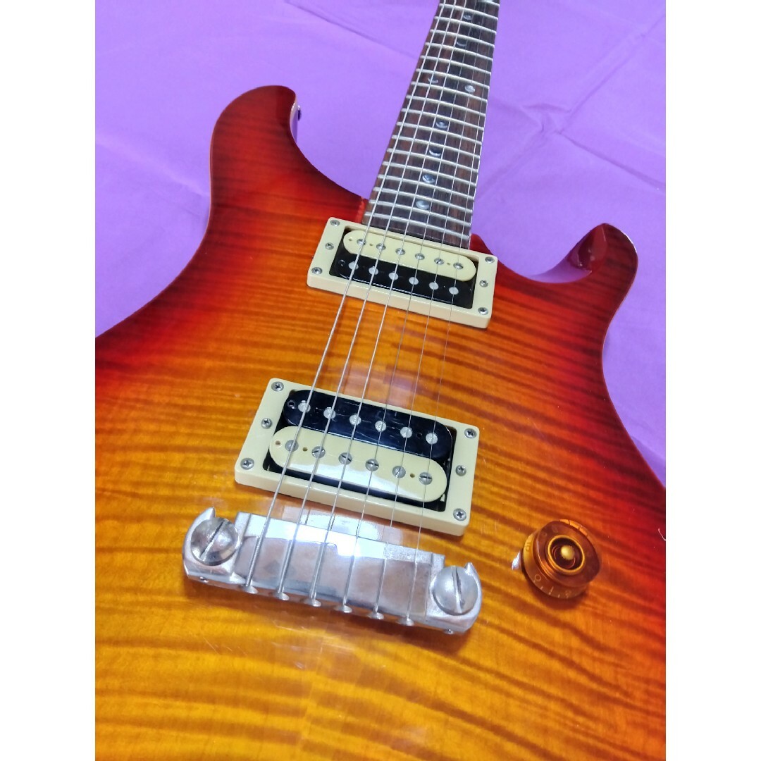 PRS(ピーアールエス)のポールリードスミス SE CUSTOM 22 楽器のギター(エレキギター)の商品写真