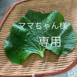 ママちゃん様専用生わさび(野菜)