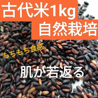 古代米1kg(黒米・朝紫)自然栽培【無選別】(米/穀物)
