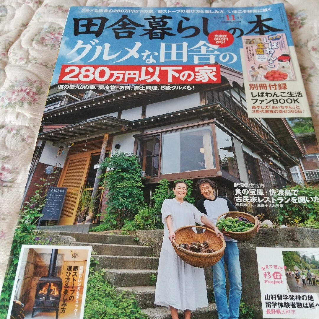 「田舎暮らしの本2022年11月号」 エンタメ/ホビーの本(住まい/暮らし/子育て)の商品写真