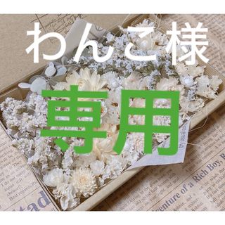 ドライフラワー 花材 たっぷり ホワイト系詰め合わせ(ドライフラワー)