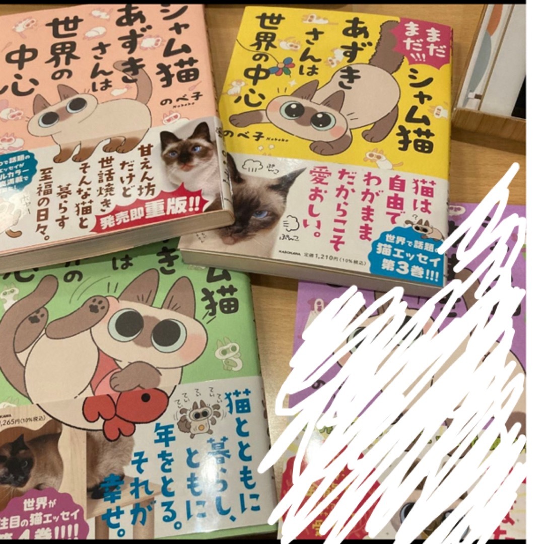 角川書店(カドカワショテン)のシャム猫あずきさんは世界の中心　3冊セット エンタメ/ホビーの漫画(その他)の商品写真