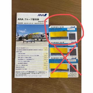 エーエヌエー(ゼンニッポンクウユ)(ANA(全日本空輸))のANA 株主優待1枚(その他)