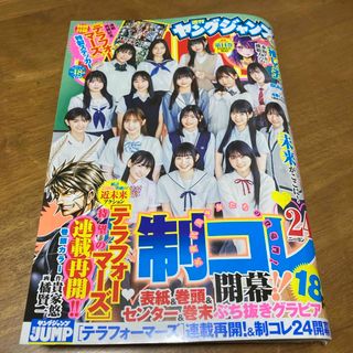 シュウエイシャ(集英社)のヤングジャンプ　18号　ヤンジャン　週刊ヤングジャンプ(漫画雑誌)