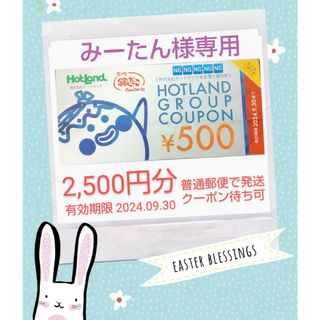 【みーたん様専用】ホットランドの株主優待券 2,500円分(フード/ドリンク券)