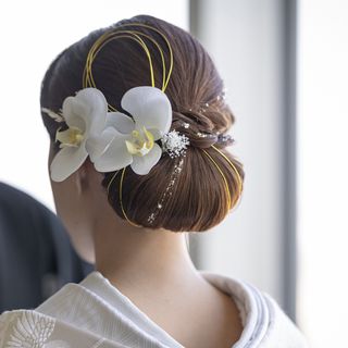 髪飾り 髪かざり 胡蝶蘭   水引 ドライフラワー 和装 着物 ブライダル(ヘアアクセサリー)