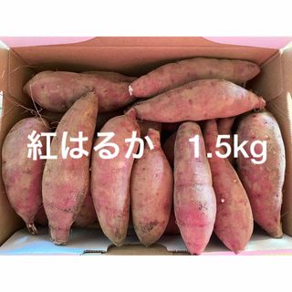 紅はるか　1.5kg さつまいも　小さいサイズ(野菜)