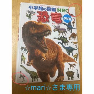 ショウガクカン(小学館)の⭐︎mari⭐︎さまご予約品　　「新版　恐竜」小学館の図鑑NEO DVD付き(絵本/児童書)