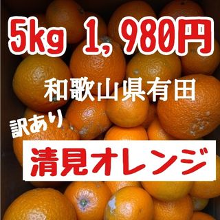 和歌山県有田 ジュ～シ〜清見オレンジ5kg(フルーツ)