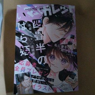 シュウエイシャ(集英社)のマーガレット 9号　 本誌1冊お譲り(少女漫画)