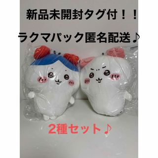 チイカワ(ちいかわ)のちいかわ ハチワレ  カニカチューシャBIGぬいぐるみ　2種セット(ぬいぐるみ)