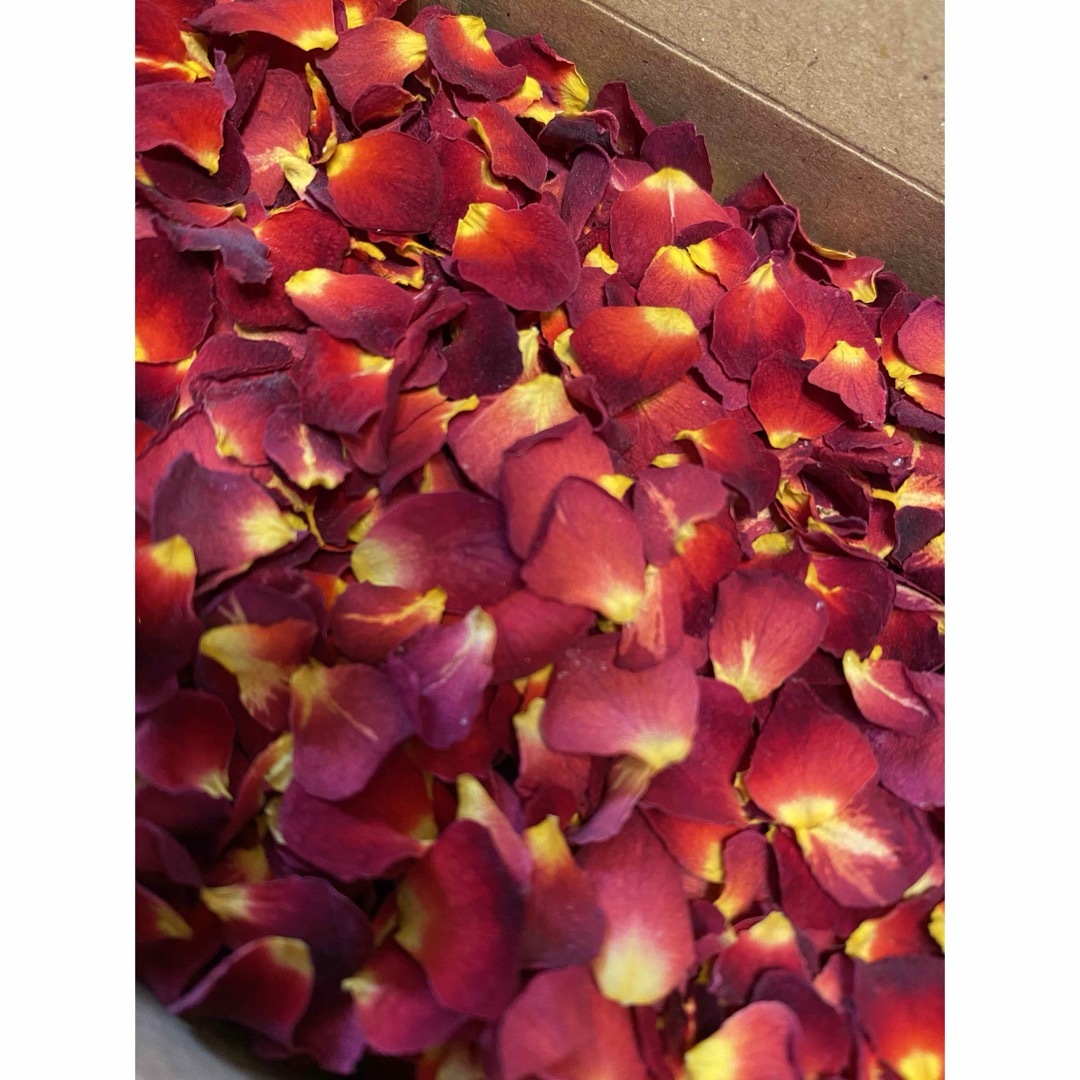 大特価!ミニ薔薇の花びら(大小mix)9g→10gに増量中★レジン作品の花材等に