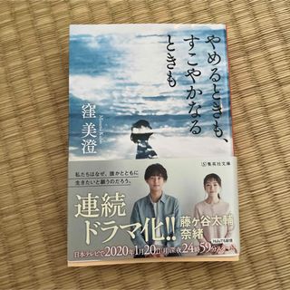 やめるときも、すこやかなるときも(文学/小説)