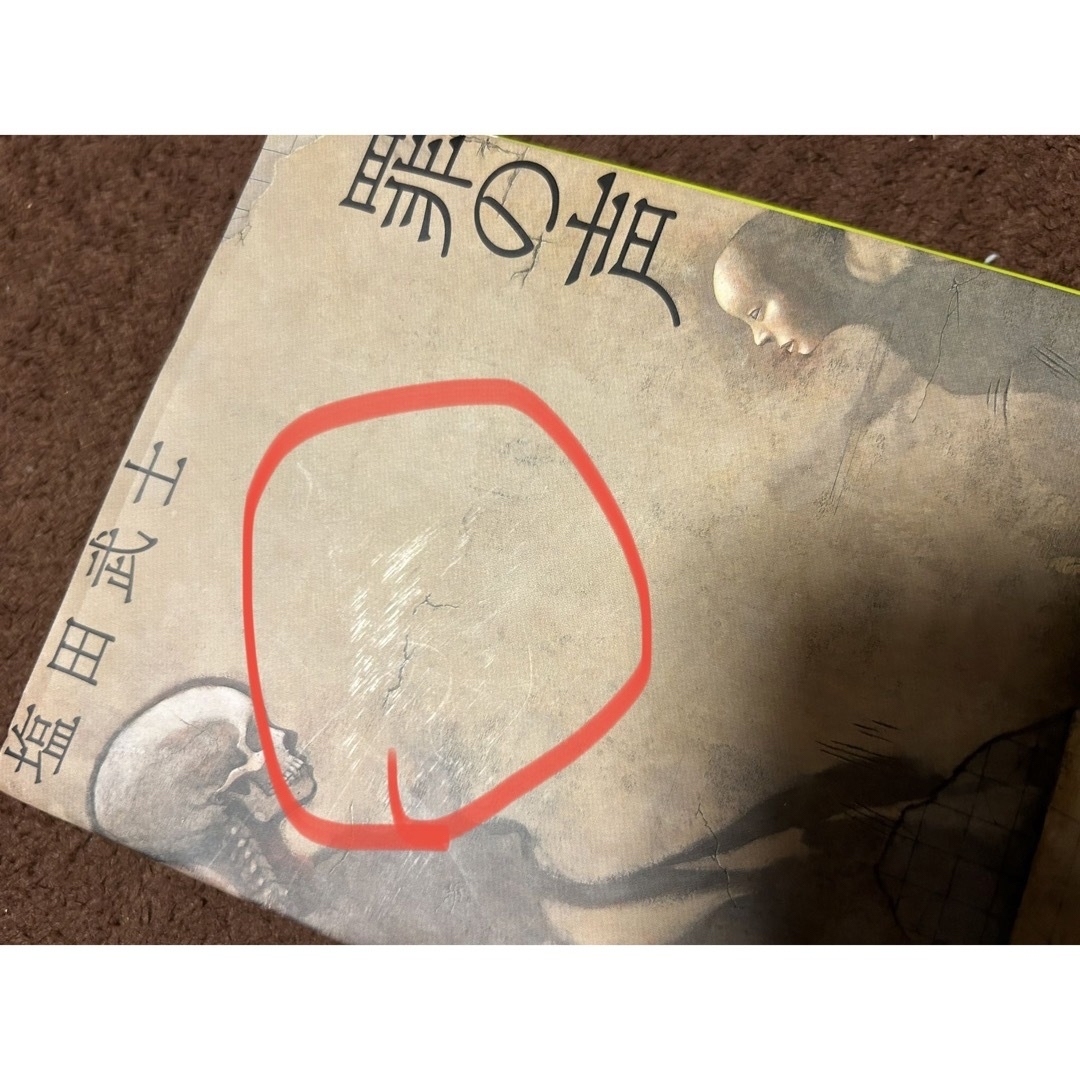 塩田武士　罪の声 エンタメ/ホビーの本(文学/小説)の商品写真