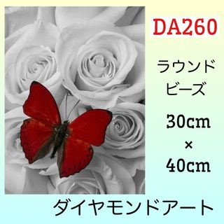 DA260♡ダイヤモンドアートキット♡Red Butterfly(アート/写真)