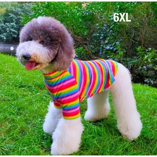 【ペット用】大型犬用　犬服　可愛い　虹色ボーダー柄　シャツ　6XL(犬)