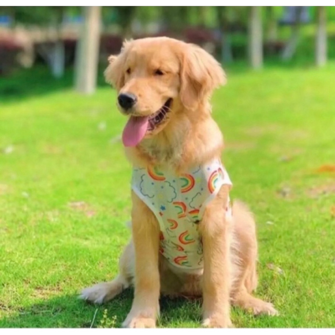 【ペット用】大型犬用 ペット服　可愛い 虹総柄 網目 涼しいタンクトップ 5XL その他のペット用品(犬)の商品写真