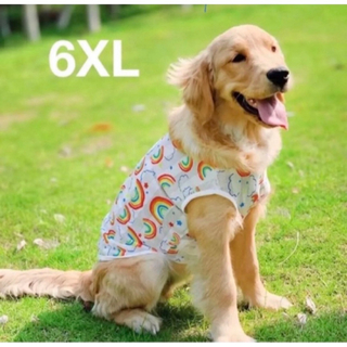 【ペット用】大型犬用 ペット服 可愛い　虹総柄 網目涼しい タンクトップ 6XL(犬)