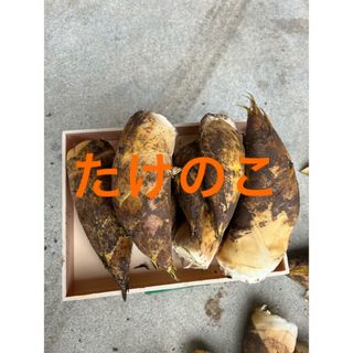 8日出荷　たけのこ　２キロ ぬか唐辛子付き(野菜)