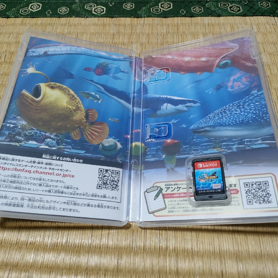 釣りスピリッツ 釣って遊べる水族館 エンタメ/ホビーのゲームソフト/ゲーム機本体(家庭用ゲームソフト)の商品写真