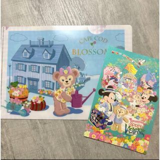 ディズニー(Disney)の♥︎シェリーメイ　ファイル　ハガキ♥︎(キャラクターグッズ)